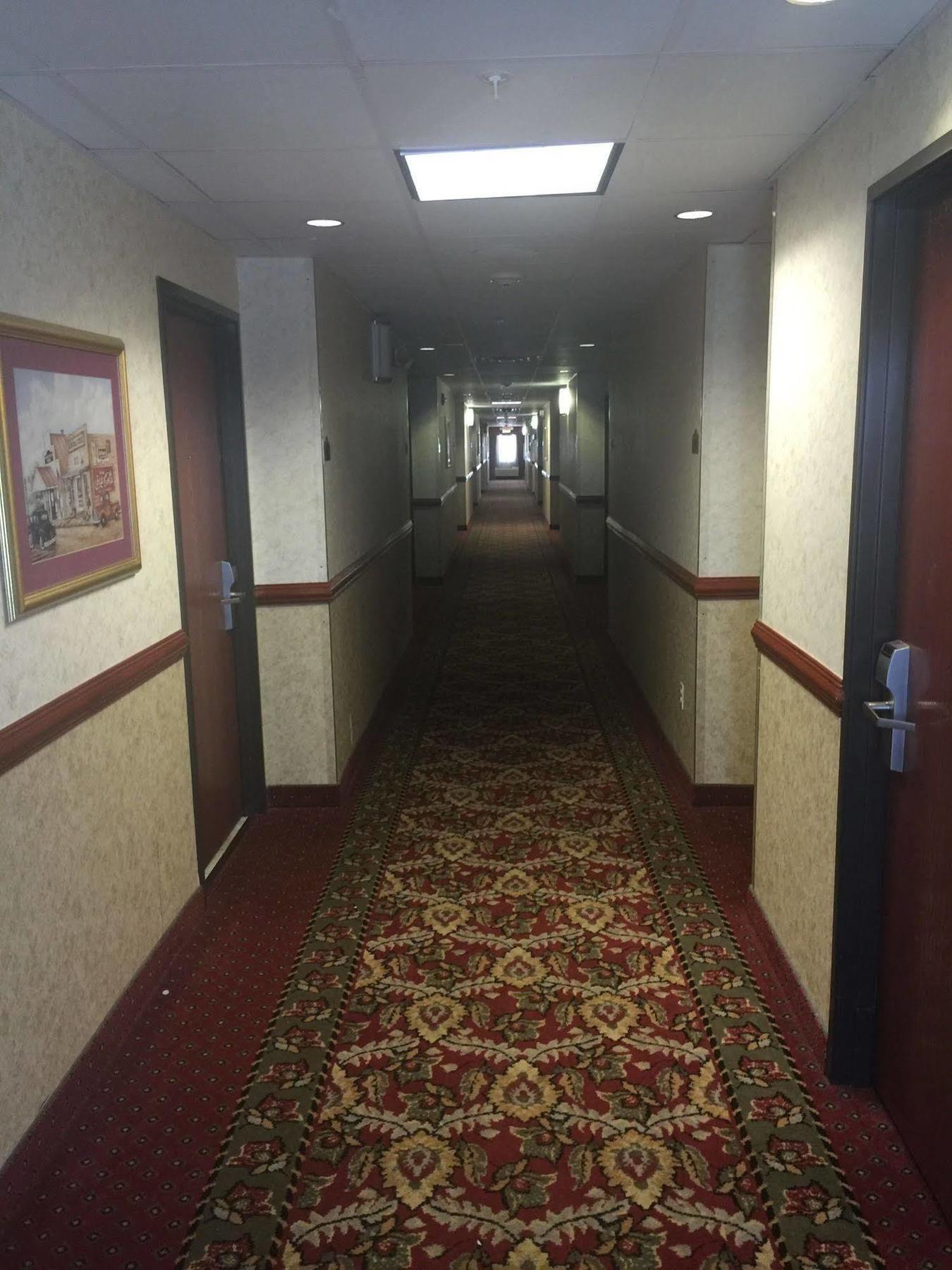 Comfort Suites 러레이도 외부 사진